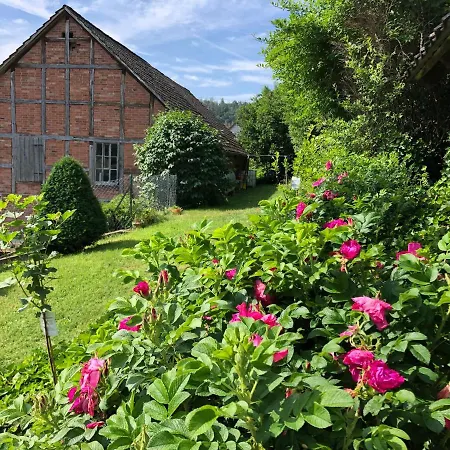 Ferienwohnung Unterm Stein Apartment